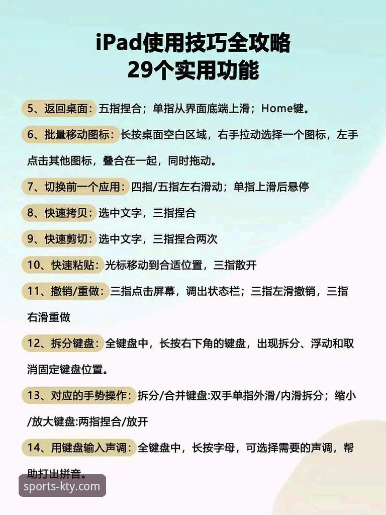 专业体育赛事平台实用指南：从工具选择到观赛体验升级必备知识